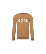 Худые BOSS Kidswear - коричневый(J15492)