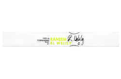 Harrow Vapor 115 Custom Raneem El Welily (2024), Squash Racket, White/Green