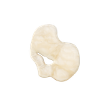 Tahe Шампунь для окрашенных или осветленных волос - SHAMPOO COLOURED OR HIGHLIGHTED HAIR, 750 мл