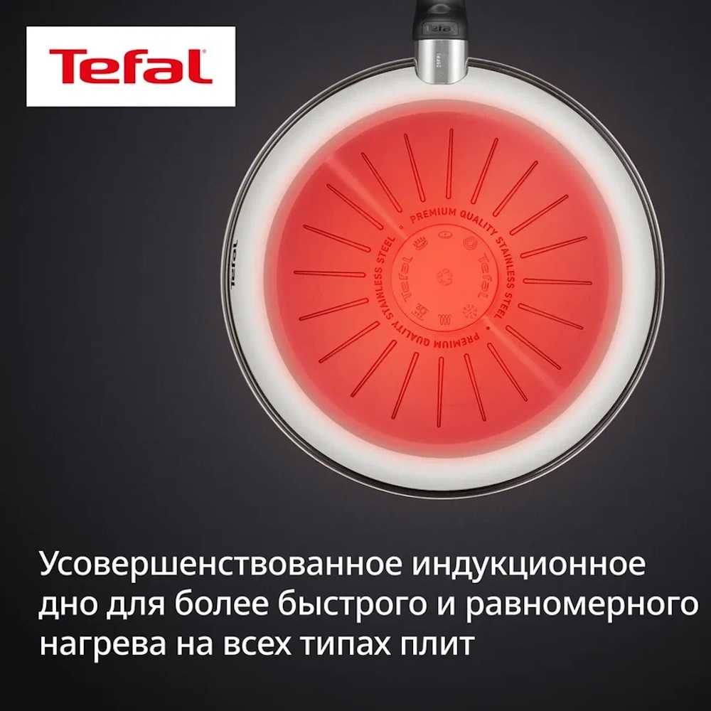 Сковорода Tefal Emotion+ Flavors 24 см G7600445