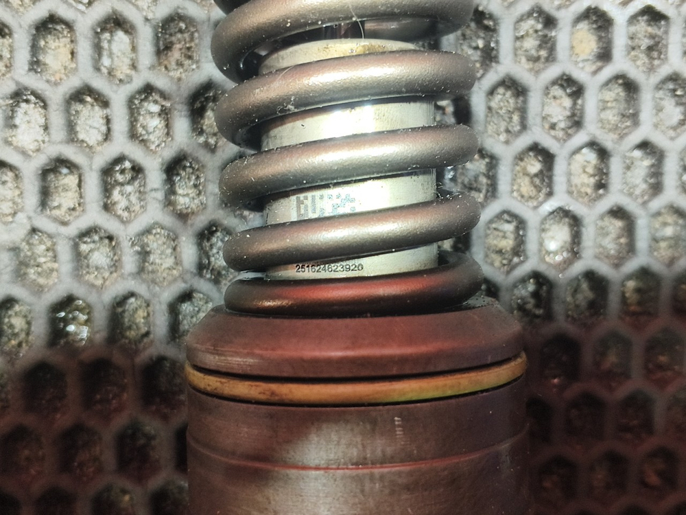 PLD секция 2020г