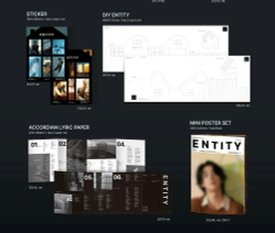 Альбом Cha Eun-Woo (ASTRO) - ENTITY