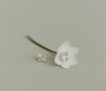 Пусеты Душа