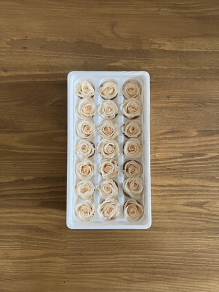 Роза классическая шампань d=2-3 см (упак 21 шт)