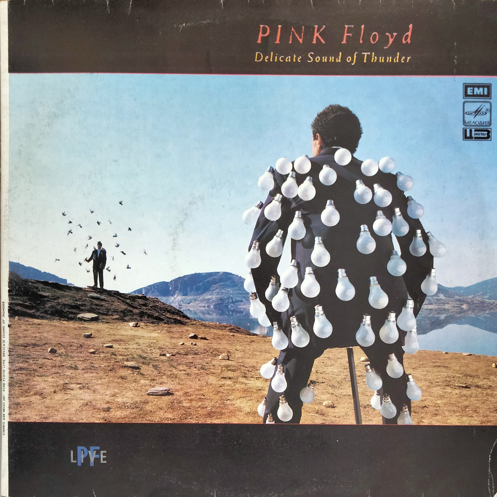 Pink Floyd / Delicate Sound Of Thunder (2LP)