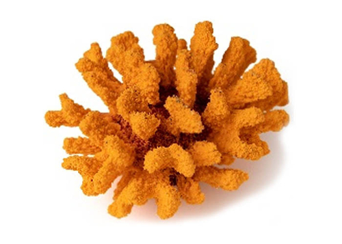 Кр-1521 Коралл броколли оранжевый 14*13*7