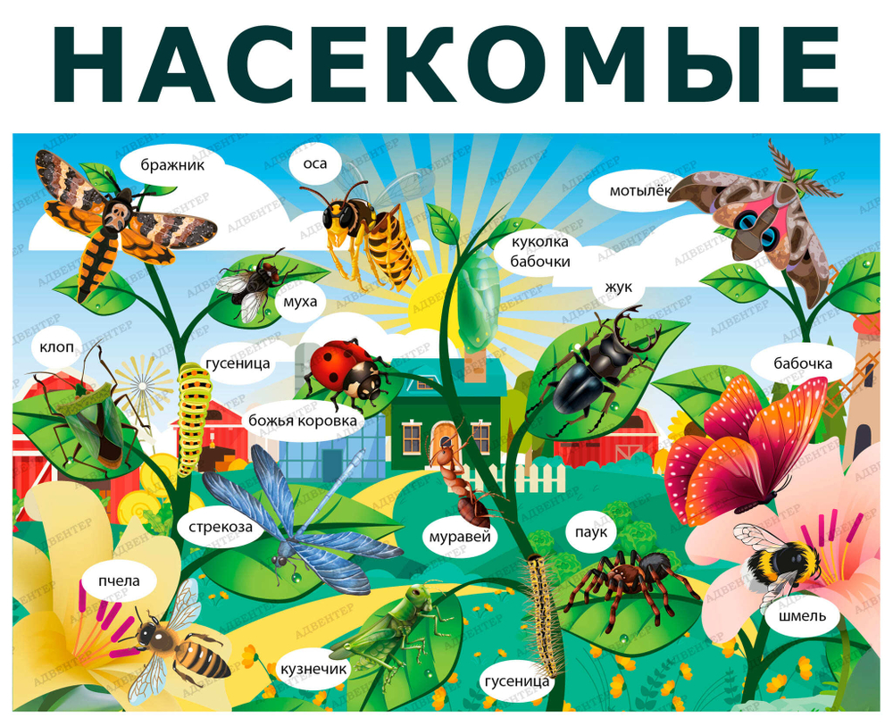 Комплект развивающий Ферма: Насекомые 2150