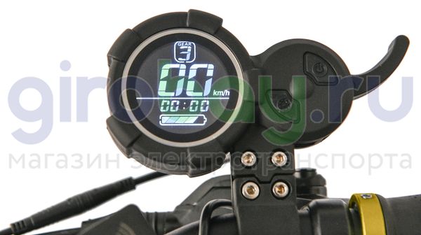 Электросамокат WHITE SIBERIA NERPA PRO 3600W Siberian Gold (золотой)