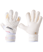 Перчатки вратарские Pro Edition Roll