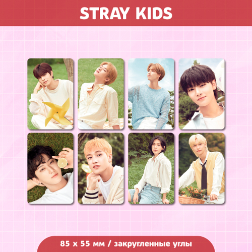 Сет карточек / STRAY KIDS #215