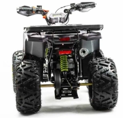 Квадроцикл Motoland 125 WILD (2020 г.)