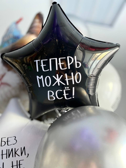 Вздушные шары Кот "Без паники, ты не старенький" №2056