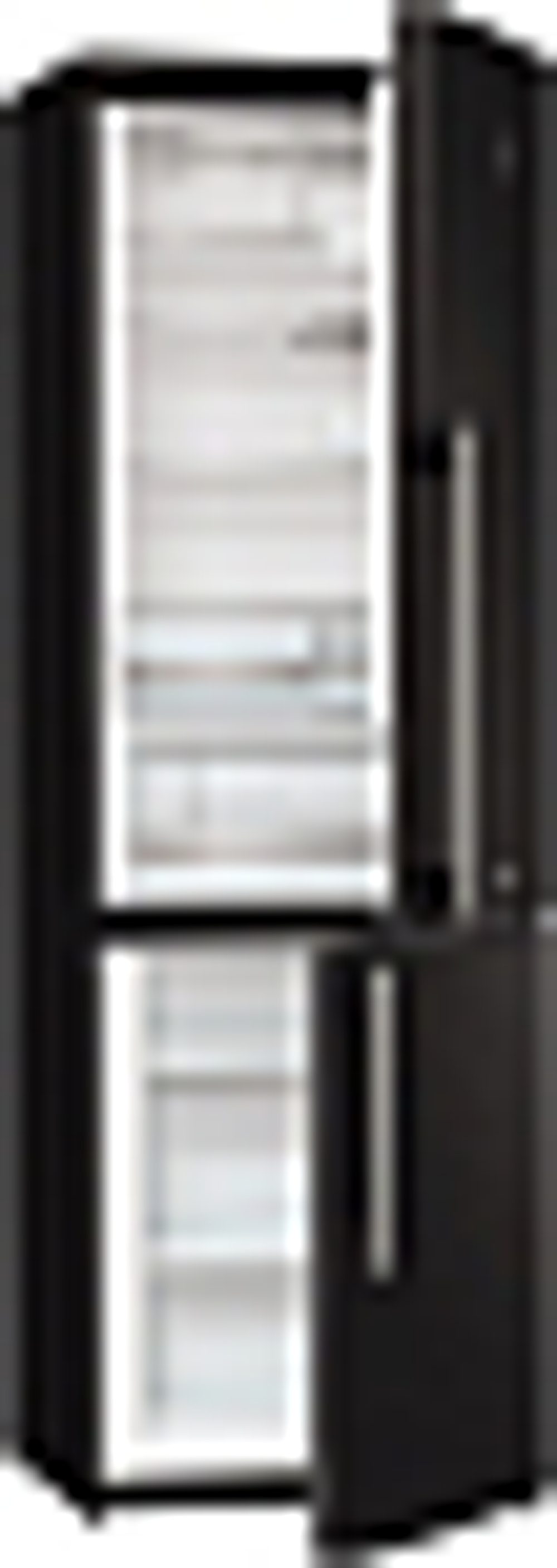 Отдельностоящий двухкамерный холодильник Gorenje RK 61 FSY2B