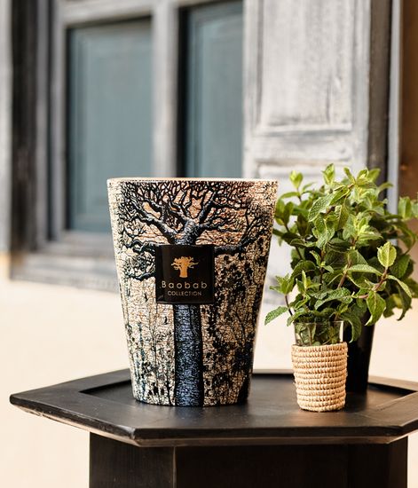 Seguela, свеча MAX 10 Sacred Trees collection, Baobab Collection