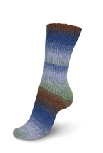 Пряжа Virtuoso Color, 9801638 Regia Color 6-нитка (03075/Цвет сине-коричнево-зелено-голубая)