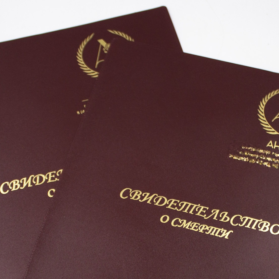 ПАПКА с логотипом