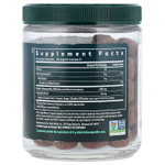 Gaia Herbs, жевательные мармеладки с ашвагандой, со вкусом яблока и корицы, 45 жевательных конфет