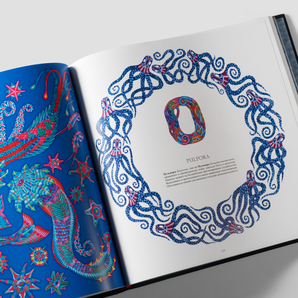 Книга подарочная К. Овчинников «Атлас Отражений»