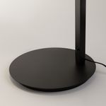 Напольный светильник (торшер) Maytoni MOD363FL-L14B3K