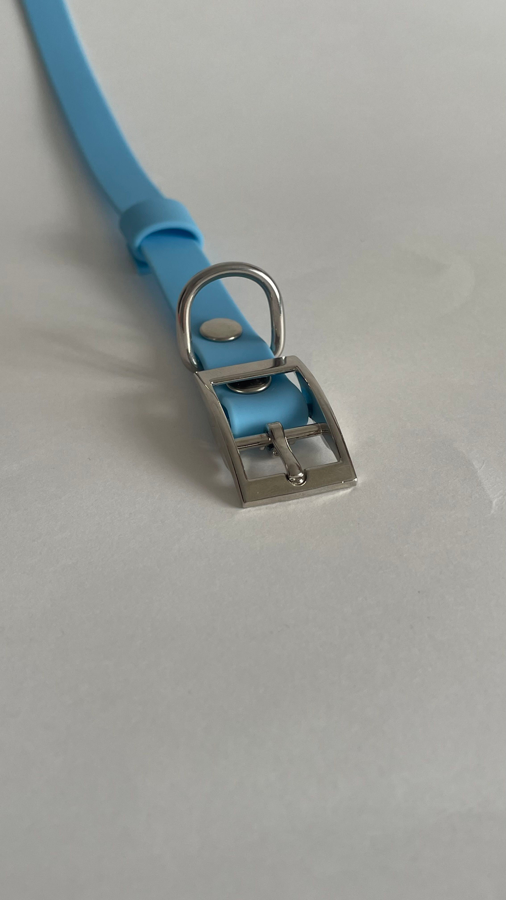 Ошейник тонкий для маленьких собак , ширина 15 мм , обхват шеи 25 -35 см , биотан голубой