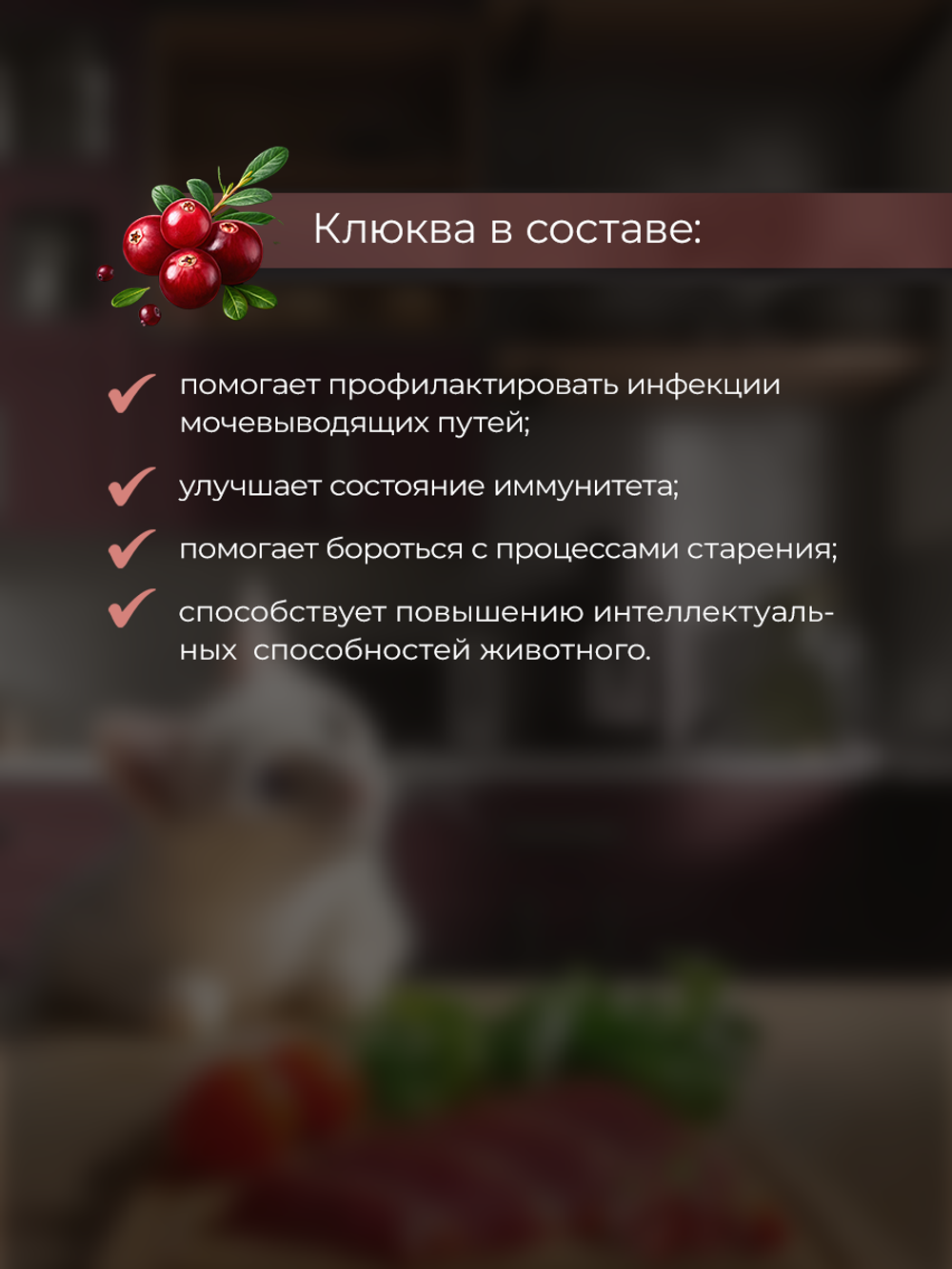 НАБОР Консервы DELISH Super Premium для кошек, говядина/овощи/клюква - 10 шт х 80 гр