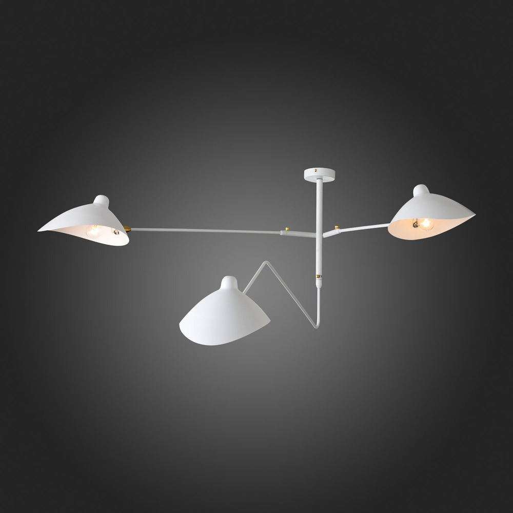 Люстра потолочная ST Luce Spruzzo SL305.502.03