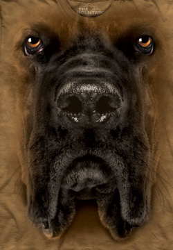 Mastiff Face