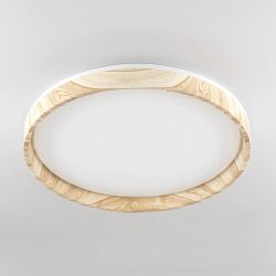 Citilux ENZO CL753452G LED RGB Светильник с пультом Клён