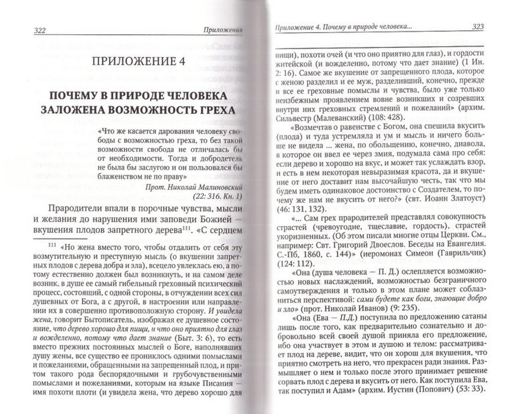 Размышления  о цели и смысле земной жизни человека. Петр Добросельский