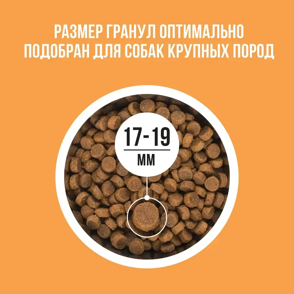 Сухой корм BOWL WOW для собак крупных пород с индейкой, курицей, рисом и тыквой  Сухой корм BOWL WOW для собак крупных пород с индейкой, курицей, рисом и тыквой