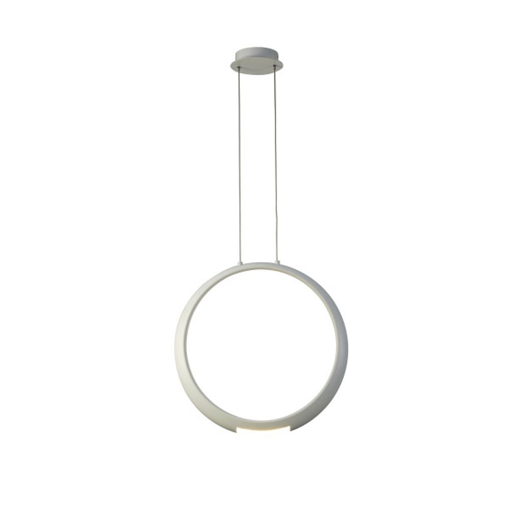 6170 Подвесной светильник RING