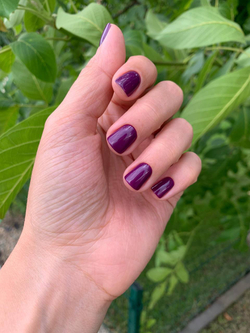 nadezhda_sheyko. Blackberry