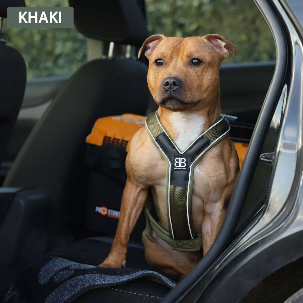 Шлейка Slip-On BullyBillows