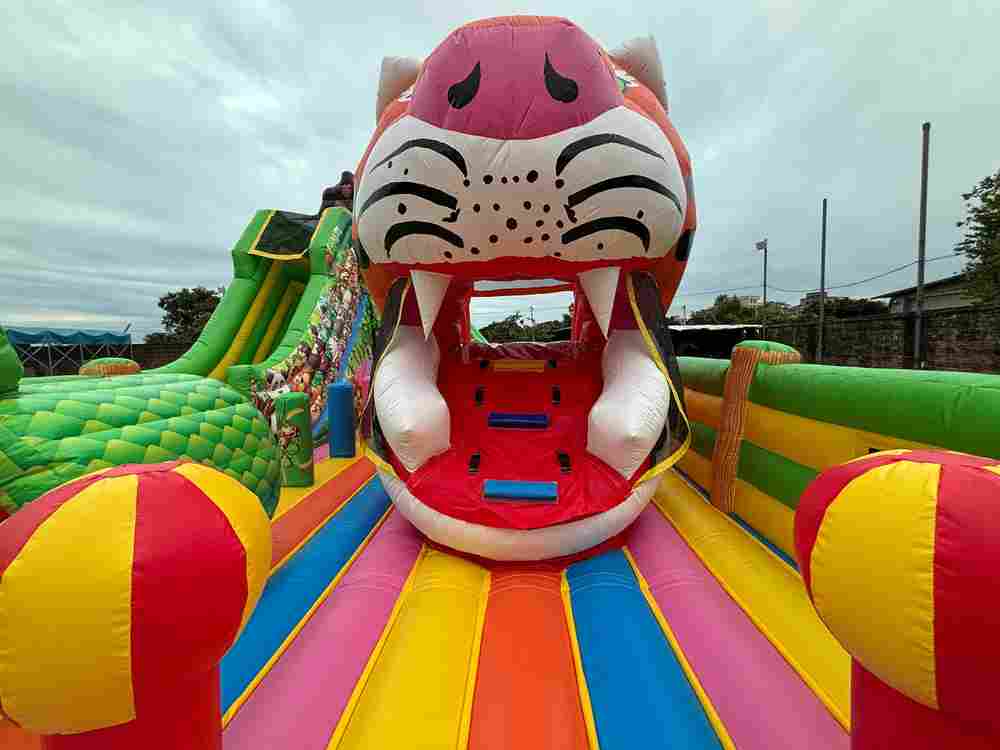 Коммерческий надувной батут «Прайд 2» с широким входом, 12*7*6 м