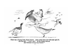 A book of nonsense. With many new pictures and verses | Edward Lear