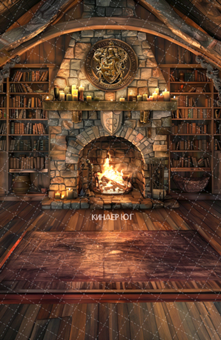 Фотофон "Гостиная Хогвартса" арт. ФФ904-24