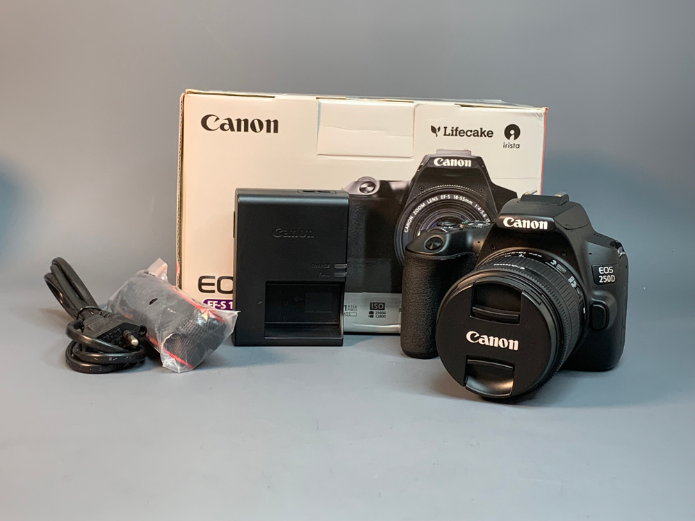 Canon 250D Kit 18-55mm STM 22.000 кадров