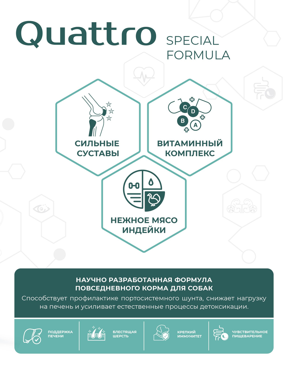 Корм для собак средних и крупных пород SF Hepato Flow, (портосистемный шунт), 12 кг, QUATTRO