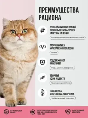 Корм сухой полнорационный BOWL WOW с ягненком, курицей и клюквой для стерилизованных кошек