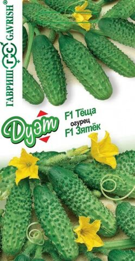 Огурец Теща F1 +Зятек F1