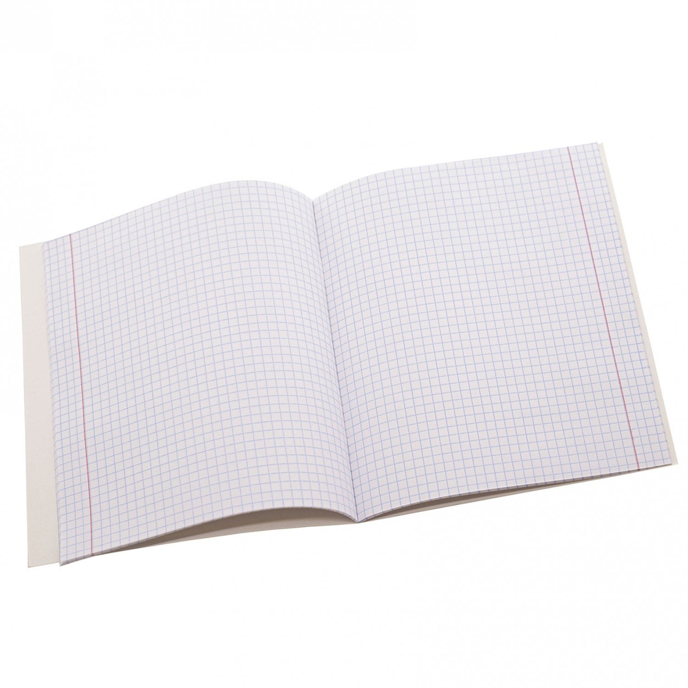 Тетрадь 36 л., А5, клетка, Alingar "Positive book", скрепка, второй блок 60г/м2, мелованный картон (стандарт), 4 дизайна в пленке т/у