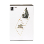 Набор настенных кашпо trigg, 19х23 см, белый/латунь, 2 шт.