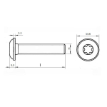 Винт шлиц TORX ИСО 7380-2 А2 M 6х40/40 Tх30 с полукруглой головкой с фланцем в упак  200 шт