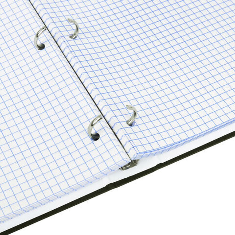 Тетрадь на кольцах БОЛЬШАЯ А4, 215х305 мм, 100 л., твердый картон, клетка, BRAUBERG, "Nature", 405411