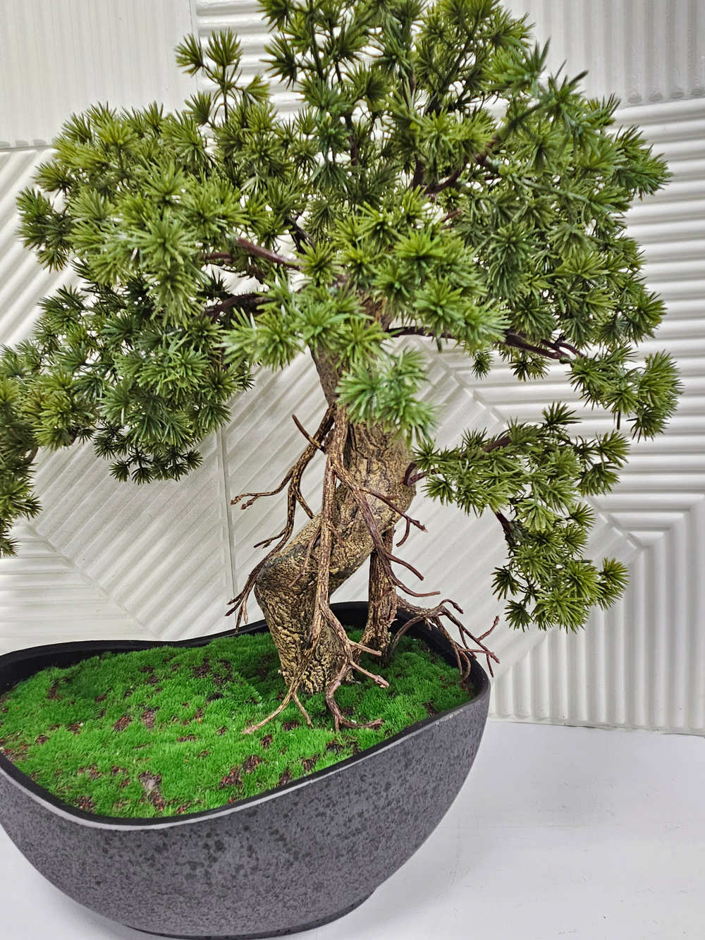 Бонсай Кедр 65см в кашпо Лофт Нео