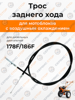 VM029-178 (1)
