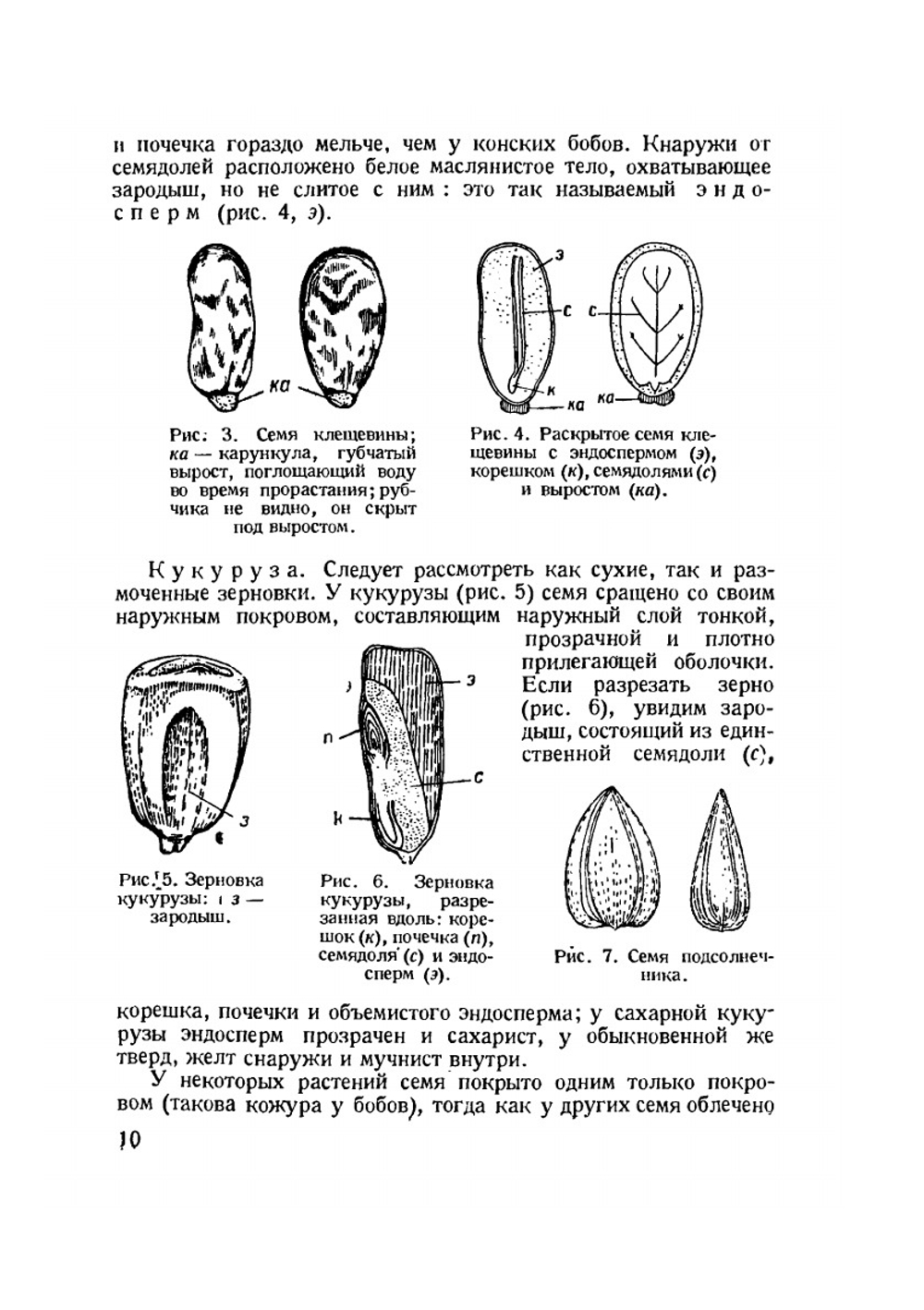 Жизнь растения в опытах | В. Остергаут