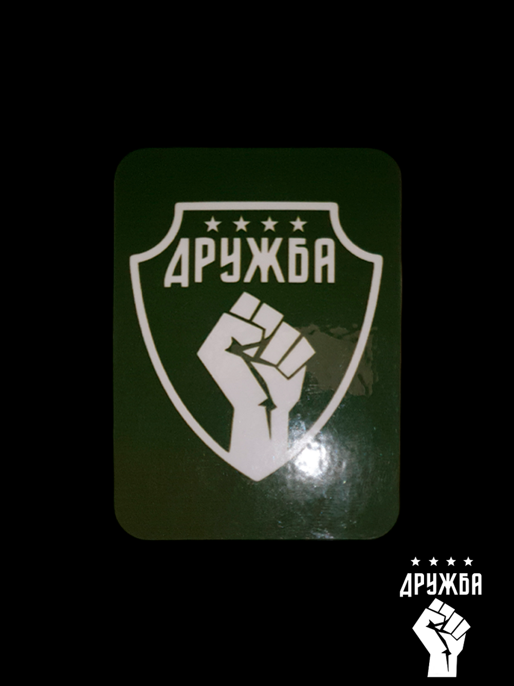 Магнит с логотипом орггруппы Дружба винил. Олива