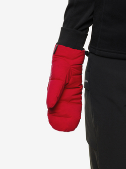 ВАРЕЖКИ ПУХОВЫЕ BASK D-TUBE CHESSMITTS