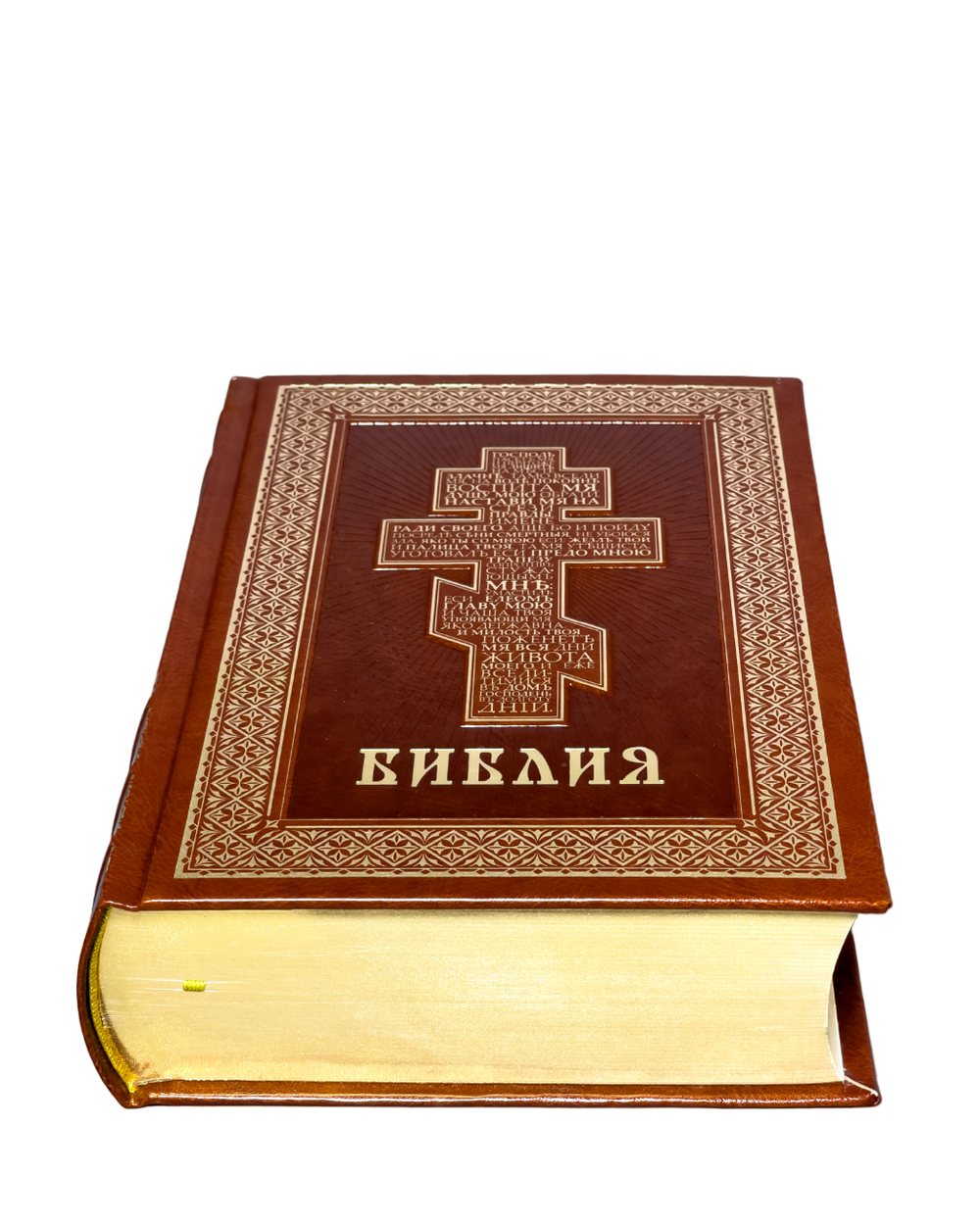 IMG_9664-PhotoRoom.png-PhotoRoom